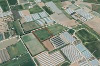 9247 SQM Land in Maroni (Larnaca) for sale 