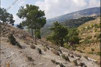 74584 SQM Land in Agios Therapon (Limassol) for sale 