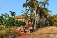 5 Bedroom Bungalow · Ormideia (Larnaca) for sale 