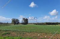1673 SQM Land in Peristerona Lefkosias (Nicosia) for sale 