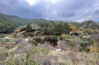 13379 SQM Land in Spilia (Nicosia) for sale 