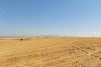 7024 SQM Land in Orounta (Nicosia) for sale 