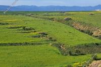 7024 SQM Land · Peristerona Lefkosias (Nicosia) for sale 