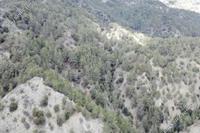 7024 SQM Land · Pera Pedi (Limassol) for sale 
