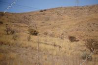 2342 SQM Land in Marathounta (Paphos) for sale 