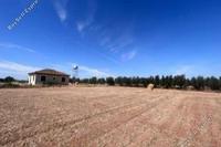21193 SQM Land · Achna (Famagusta) for sale 