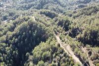 7024 SQM Land in Pera Pedi (Limassol) for sale 