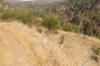 3830 SQM Land · Xyliatos (Nicosia) for sale 