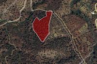 16289 SQM Land in Agios Theodoros Soleas (Nicosia) for sale 