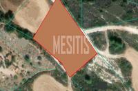 4014 SQM Land · Vavla (Larnaca) for sale 