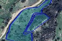 6356 SQM Plot in Pentakomo (Limassol) for sale 