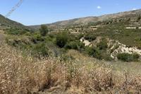 1338 SQM Land in Agios Ambrosios (Limassol) for sale 