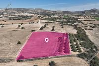 8027 SQM Land in Agios Theodoros Larnacas (Larnaca) for sale 