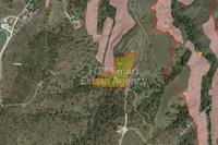 11706 SQM Land in Kampia (Nicosia) for sale 