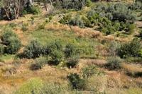 7287 SQM Plot · Arakapas (Limassol) for sale 