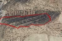 30101 SQM Land · Agia Fyla (Limassol) for sale 