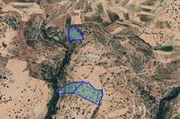 44818 SQM Land in Pachna (Limassol) for sale 