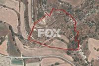 9587 SQM Land in Pissouri (Limassol) for sale 