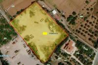 10000 SQM Land in Tremithousa (Paphos) for sale 