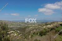 14000 SQM Land in Koili (Paphos) for sale 