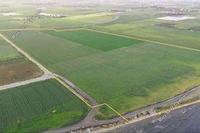145000 SQM Land in Softades (Larnaca) for sale 