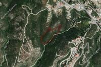 19064 SQM Plot in Tsada (Paphos) for sale 
