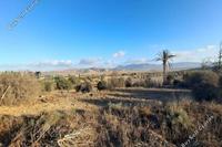 1004 SQM Land in Deneia (Nicosia) for sale 