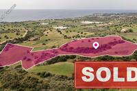 14716 SQM Land in Agios Theodoros Larnacas (Larnaca) for sale 
