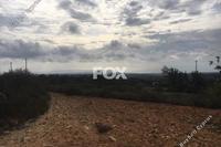 8362 SQM Land in Souni Zanakia (Limassol) for sale 