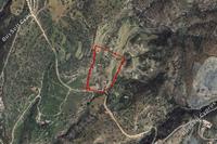 34449 SQM Land in Peyia (Paphos) for sale 