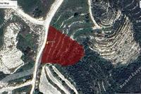 3011 SQM Plot in Tsada (Paphos) for sale 