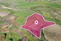 10015 SQM Land in Stroumbi (Paphos) for sale 