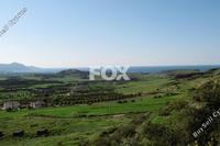32108 SQM Land in Steni (Paphos) for sale 