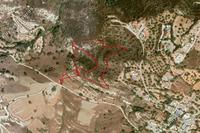 20069 SQM Land in Armou (Paphos) for sale 