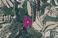 5686 SQM Land in Kallepeia (Paphos) for sale 