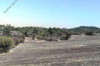 4683 SQM Land in Agios Georgios Kafkallou (Nicosia) for sale 