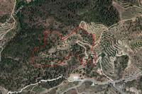 43813 SQM Land · Agios Pavlos Village (Limassol) for sale 