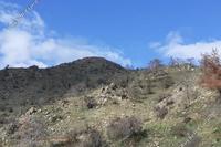 3010 SQM Land · Odou (Larnaca) for sale 