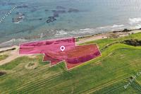 5352 SQM Land · Mazotos (Larnaca) for sale 