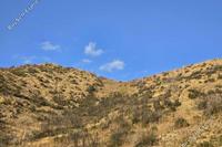 3010 SQM Land in Odou (Larnaca) for sale 