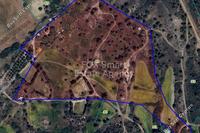 61551 SQM Land in Kornos (Larnaca) for sale 