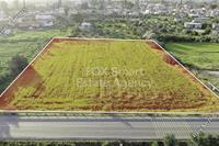 5119 SQM Land in Psimolofou (Nicosia) for sale 