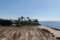 10034 SQM Land · Mazotos (Larnaca) for sale 