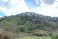 11706 SQM Land · Episkopi Pafou (Paphos) for sale 
