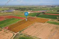 24305 SQM Land in Avgorou (Famagusta) for sale 