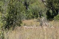 5686 SQM Land · Kritou Tera (Paphos) for sale 