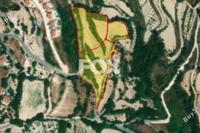 8920 SQM Land in Tsada (Paphos) for sale 
