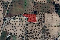 1345 SQM Land in Kornos (Larnaca) for sale 