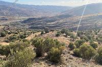 5352 SQM Land in Galataria (Paphos) for sale 