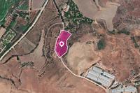 5017 SQM Land in Agia Varvara (Paphos) for sale 